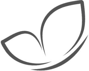 Transparant Background Logo